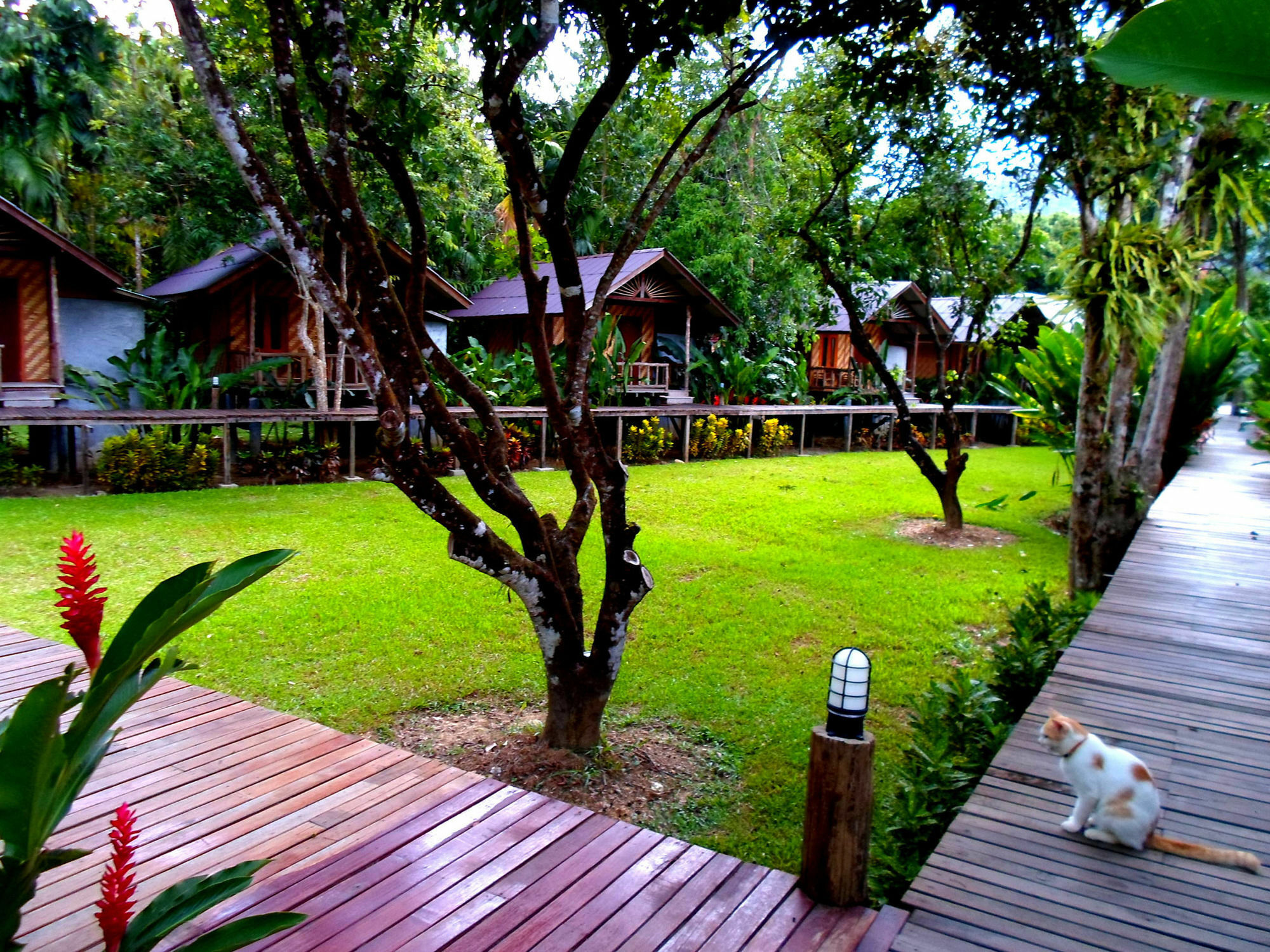 Khao Sok Cabana Resort Khao Sok National Park Exterior foto