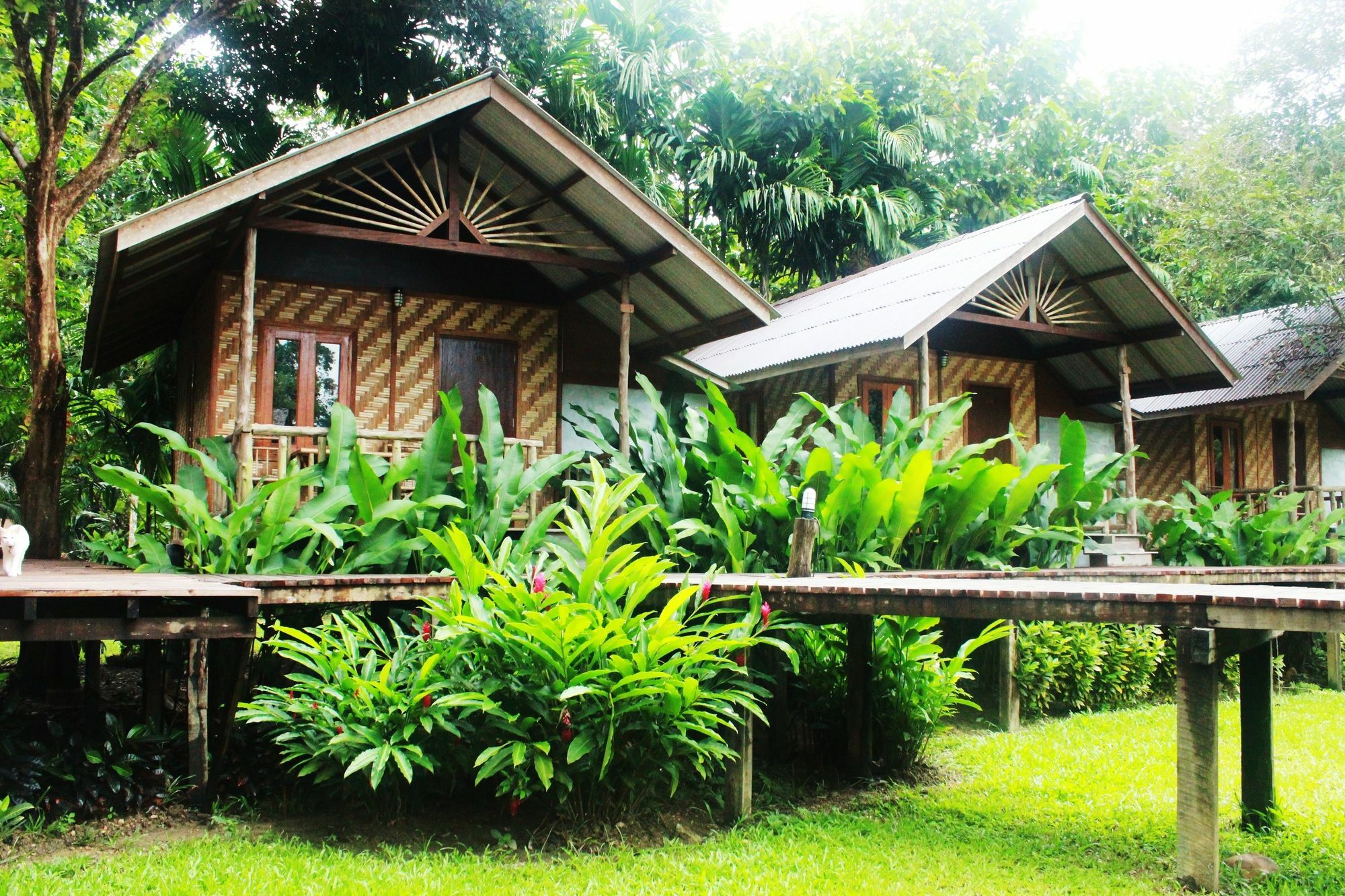 Khao Sok Cabana Resort Khao Sok National Park Exterior foto